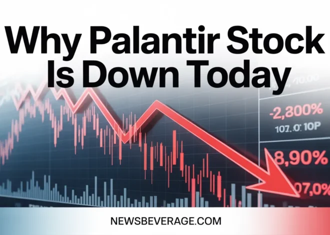 Why Palantir Stock Is Down Today: Shocking Truths Revealed 2026