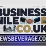 BusinessNile.co.uk