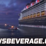 disney cruise ship overboard